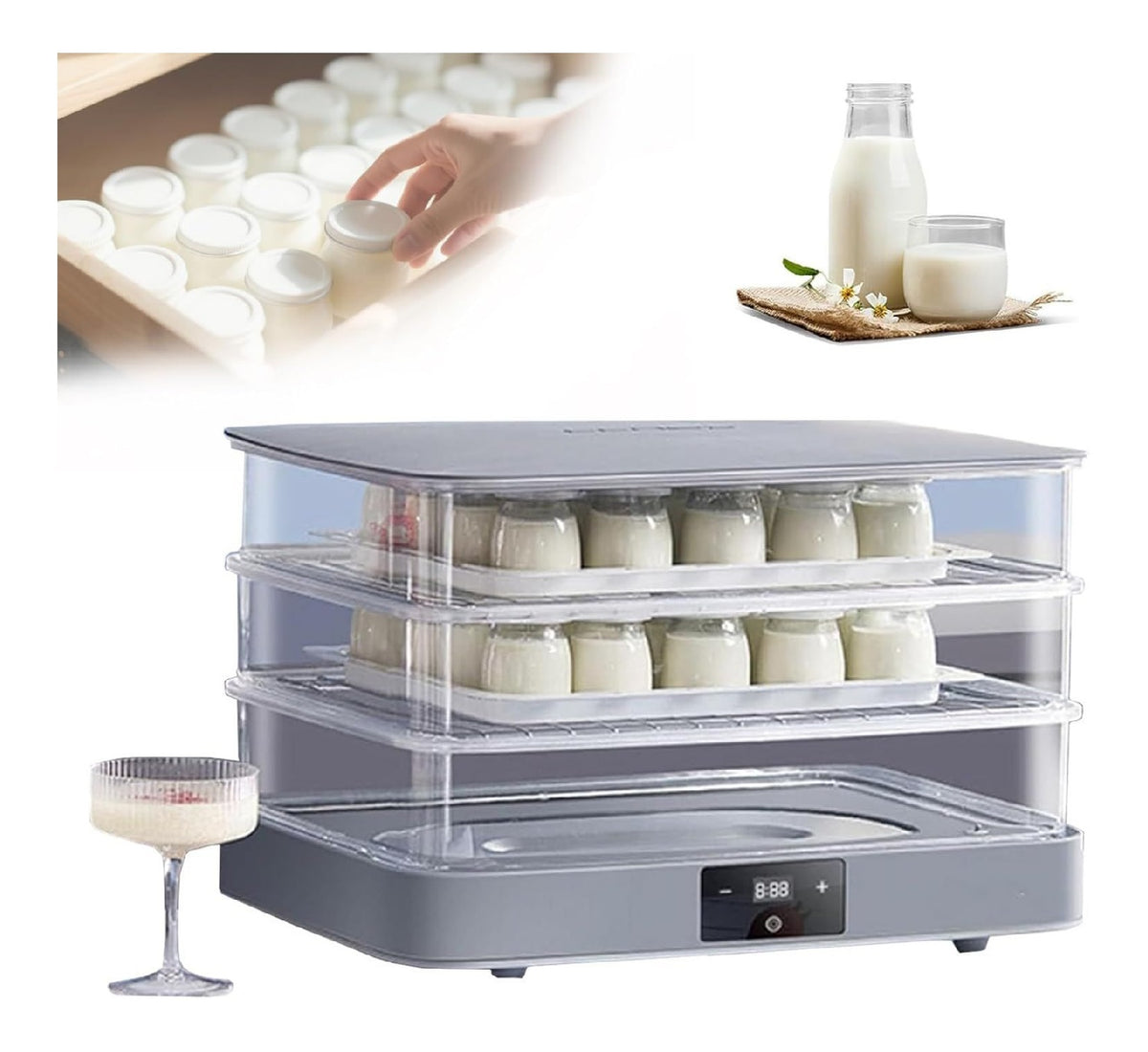 Scatola per fermentazione del Pane, con timer funzionamento automatico rosso