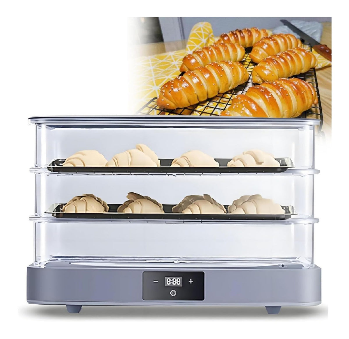 Elettrodomestico compatto Scatola elettrica lievitazione pane,cella lievitazione